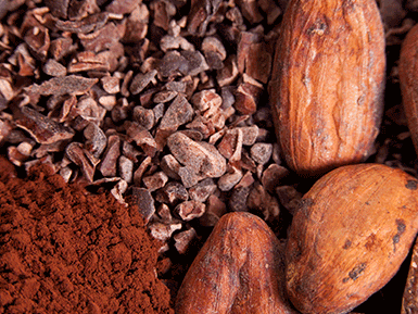 Cacao Products